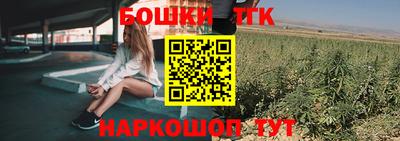 соль ск Гатчина