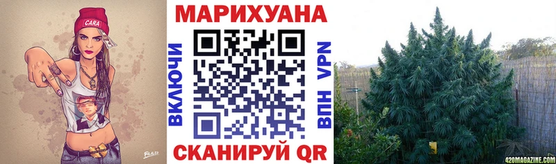 Канабис гибрид  Куйбышев 